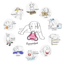 Kong Puppy Goodie Bone Small Small - 1 ST -Hondenserie Winkel 1200x1200 591