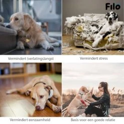 Filo Hondenknuffel Met Hartslag En Warmtebron - Hartslagknuffel Hondenspeelgoed Snuggle Puppy - Knuffel Met Hartslag - Heartbeat Knuffel Hond 16 Filo Hondenknuffel Met Hartslag En Warmtebron - Hartslagknuffel Hondenspeelgoed Snuggle Puppy - Knuffel Met Hartslag - Heartbeat Knuffel Hond -Hondenserie Winkel 1200x1200 596