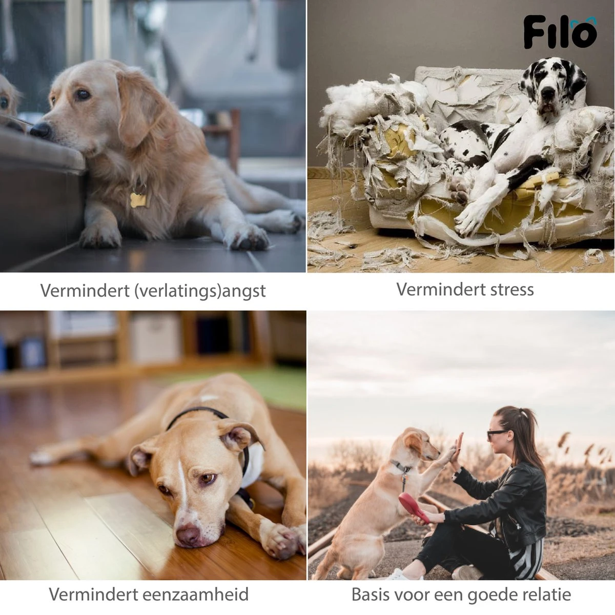 Filo Hondenknuffel Met Hartslag En Warmtebron - Hartslagknuffel Hondenspeelgoed Snuggle Puppy - Knuffel Met Hartslag - Heartbeat Knuffel Hond 8 Filo Hondenknuffel Met Hartslag En Warmtebron - Hartslagknuffel Hondenspeelgoed Snuggle Puppy - Knuffel Met Hartslag - Heartbeat Knuffel Hond - Afbeelding 6