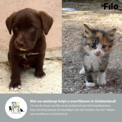 Filo Hondenknuffel Met Hartslag En Warmtebron - Hartslagknuffel Hondenspeelgoed Snuggle Puppy - Knuffel Met Hartslag - Heartbeat Knuffel Hond 18 Filo Hondenknuffel Met Hartslag En Warmtebron - Hartslagknuffel Hondenspeelgoed Snuggle Puppy - Knuffel Met Hartslag - Heartbeat Knuffel Hond -Hondenserie Winkel 1200x1200 597