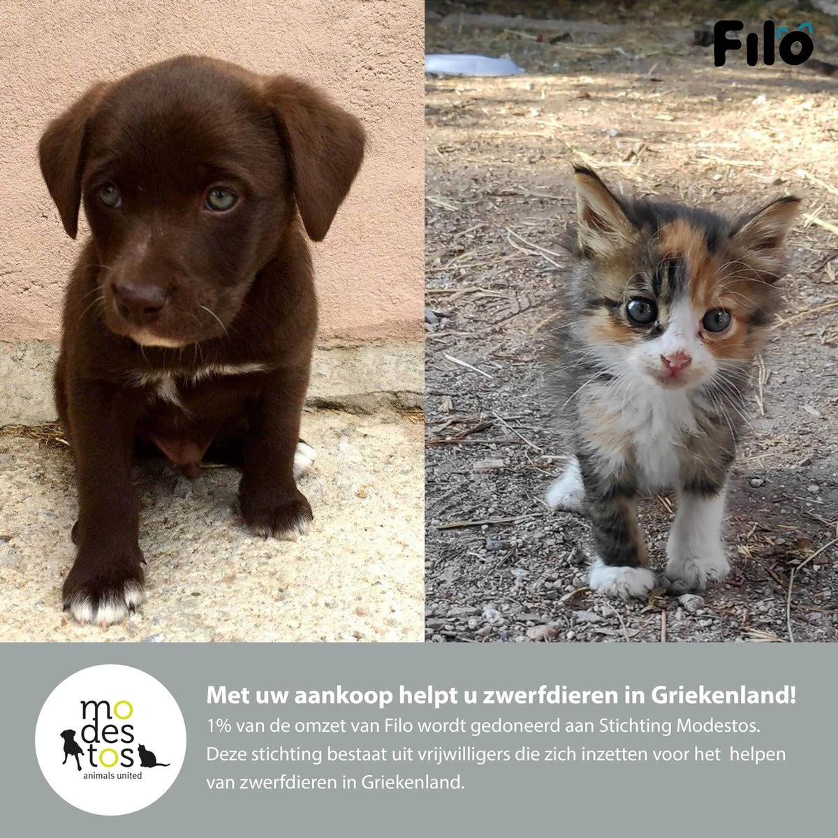 Filo Hondenknuffel Met Hartslag En Warmtebron - Hartslagknuffel Hondenspeelgoed Snuggle Puppy - Knuffel Met Hartslag - Heartbeat Knuffel Hond 10 Filo Hondenknuffel Met Hartslag En Warmtebron - Hartslagknuffel Hondenspeelgoed Snuggle Puppy - Knuffel Met Hartslag - Heartbeat Knuffel Hond - Afbeelding 8