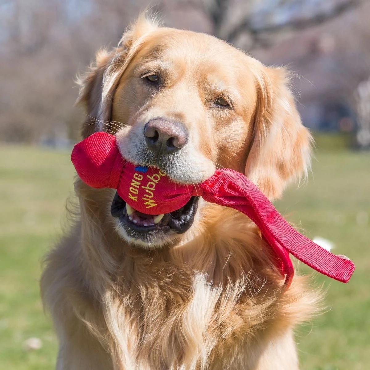 Kong Wubba - Hondenspeelgoed - Assorti - S: 24 Cm 4 Kong Wubba - Hondenspeelgoed - Assorti - S: 24 Cm - Afbeelding 2