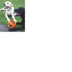 Happy Pet Grubber Interactieve Voetbal Blauw (18X18X18 CM) -Hondenserie Winkel 1200x1200 622