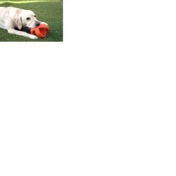 Happy Pet Grubber Interactieve Voetbal Blauw (18X18X18 CM) -Hondenserie Winkel 1200x1200 623