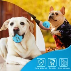 Nobleza Honden Speelgoed - Hondenspeeltjes - Hondenbal - Hondenspeelgoed - Honden Bal - Snackbal Hond - Kauwspeelgoed - Blauw - 8 Cm 14 Nobleza Honden Speelgoed - Hondenspeeltjes - Hondenbal - Hondenspeelgoed - Honden Bal - Snackbal Hond - Kauwspeelgoed - Blauw - 8 Cm -Hondenserie Winkel 1200x1200 628