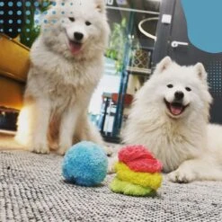 Merkloos Magic Roller Ball – Honden Speelgoed – Kattenspeeltjes - Honden Speeltjes - Kattenspeelgoed - INCLUSIEF BATTERIJ 11 Merkloos Magic Roller Ball – Honden Speelgoed – Kattenspeeltjes - Honden Speeltjes - Kattenspeelgoed - INCLUSIEF BATTERIJ -Hondenserie Winkel 1200x1200 632