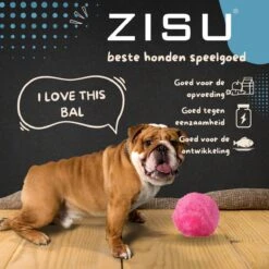 Merkloos Magic Roller Ball – Honden Speelgoed – Kattenspeeltjes - Honden Speeltjes - Kattenspeelgoed - INCLUSIEF BATTERIJ 12 Merkloos Magic Roller Ball – Honden Speelgoed – Kattenspeeltjes - Honden Speeltjes - Kattenspeelgoed - INCLUSIEF BATTERIJ -Hondenserie Winkel 1200x1200 633