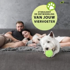 Petloverz Magic Roller Ball – Honden Speelgoed – Premium Automatische Rollende Bal 17 Petloverz Magic Roller Ball – Honden Speelgoed – Premium Automatische Rollende Bal -Hondenserie Winkel 1200x1200 644