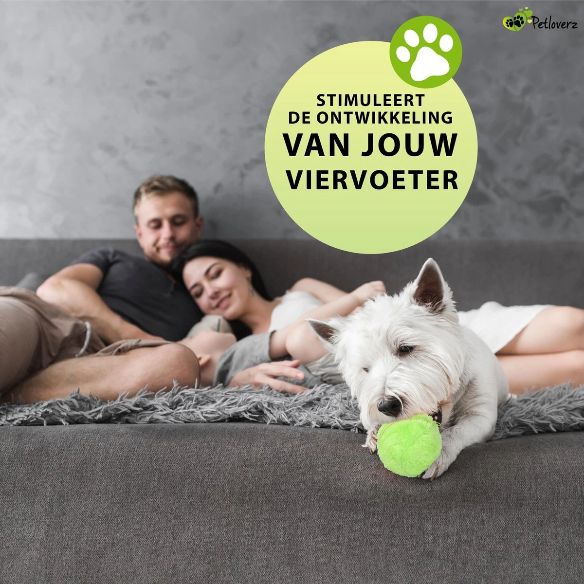 Petloverz Magic Roller Ball – Honden Speelgoed – Premium Automatische Rollende Bal 10 Petloverz Magic Roller Ball – Honden Speelgoed – Premium Automatische Rollende Bal - Afbeelding 8