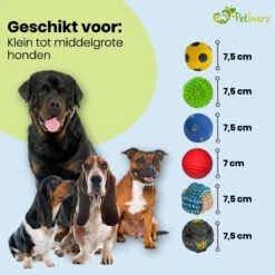 Petloverz Ballen Set - Honden Speelgoed - Intelligentie - Ballen - 6 Stuks -Hondenserie Winkel 1200x1200 651