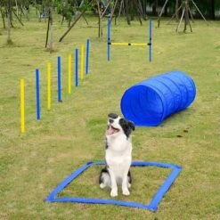 Agility Voor De Hond - 16 Delig - Agility Set - Hondentunnel - Horde - Slalom Palen - Honden Training Set - Honden Behendigheidsset - Agility Toestellen -Hondenserie Winkel 1200x1200 666