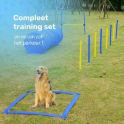 Agility Voor De Hond - 16 Delig - Agility Set - Hondentunnel - Horde - Slalom Palen - Honden Training Set - Honden Behendigheidsset - Agility Toestellen -Hondenserie Winkel 1200x1200 668