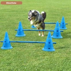 Agility Voor De Hond - Honden Training - Dog Activity - Behendigheid Hond - Parcours 12 Agility Voor De Hond - Honden Training - Dog Activity - Behendigheid Hond - Parcours -Hondenserie Winkel 1200x1200 671