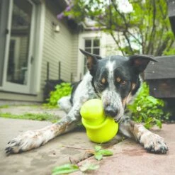 West Paw Toppl Zogoflex - Uitdagend En Sterk Speelgoed Voor Honden - Slowfeeder - Vulbaar Met Voer Of Snacks - Kleur: Groen, Maat: Large 23 West Paw Toppl Zogoflex - Uitdagend En Sterk Speelgoed Voor Honden - Slowfeeder - Vulbaar Met Voer Of Snacks - Kleur: Groen, Maat: Large -Hondenserie Winkel 1200x1200 678