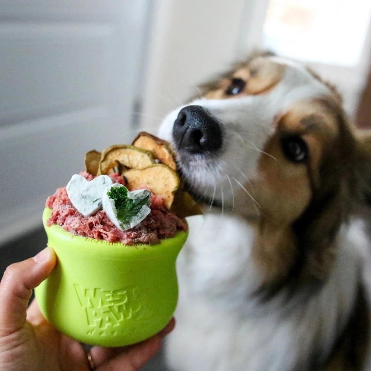 West Paw Toppl Zogoflex - Uitdagend En Sterk Speelgoed Voor Honden - Slowfeeder - Vulbaar Met Voer Of Snacks - Kleur: Groen, Maat: Large 14 West Paw Toppl Zogoflex - Uitdagend En Sterk Speelgoed Voor Honden - Slowfeeder - Vulbaar Met Voer Of Snacks - Kleur: Groen, Maat: Large - Afbeelding 12