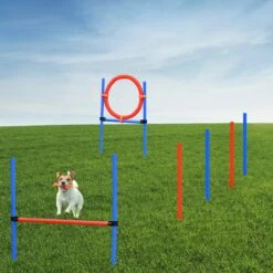 Merkloos Honden Agility Set - 23-delig - Agility Voor De Hond - Agility - Honden Parcours - Honden Training - Rood/Blauw -Hondenserie Winkel 1200x1200 684