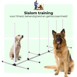 AYOO Agility Voor De Hond - Honden Training - Honden Behendigheid Set - Hondenparcours - Training Huisdieren - Honden Agility Set - Slalom - Horde - Draagzak - Agility Set - Oranje - Wit - GRATIS Speeltouw -Hondenserie Winkel 1200x1200 694