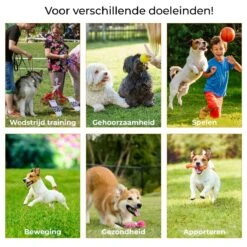 AYOO Agility Voor De Hond - Honden Training - Honden Behendigheid Set - Hondenparcours - Training Huisdieren - Honden Agility Set - Slalom - Horde - Draagzak - Agility Set - Oranje - Wit - GRATIS Speeltouw -Hondenserie Winkel 1200x1200 695