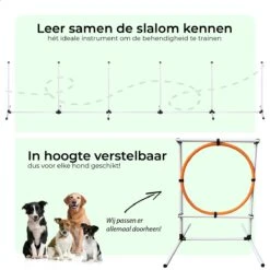 AYOO Agility Voor De Hond - Honden Training - Honden Behendigheid Set - Hondenparcours - Training Huisdieren - Honden Agility Set - Slalom - Horde - Draagzak - Agility Set - Oranje - Wit - GRATIS Speeltouw -Hondenserie Winkel 1200x1200 696