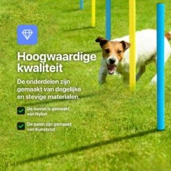 Tavaro Agility Voor De Hond - Honden Training - Hondentunnel - Springhoepel - Horde - Slalom - Honden Behendigheid Trainingsset -Hondenserie Winkel 1200x1200 716