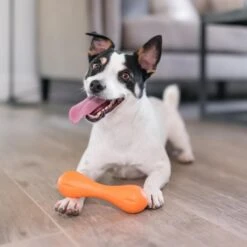 West Paw Zogoflex Hurley - Super Sterk Kauwbot Voor Honden - Kleur: Blauw, Maat: Large -Hondenserie Winkel 1200x1200 718