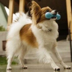 West Paw Zogoflex Hurley - Super Sterk Kauwbot Voor Honden - Kleur: Blauw, Maat: Large -Hondenserie Winkel 1200x1200 719