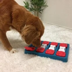 Nina Ottosson - Hondenspel - Dog Brick -Hondenserie Winkel 1200x1200 726