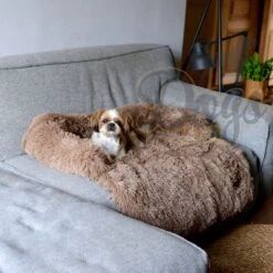 Dogs&Co Zachte Fluffy Hondenmat Voor Bank Maat L Khaki 120x90cm - Hondenmand -Hondenserie Winkel 1200x1200 73