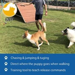 CF Pack - Hond Buitenspeelgoed Actief Behendigheid Touw Dog Flirt Pole Flirtpole Toy Tug Tease Wand Non-Bungee Cord Dog Toy For Fun Obedience Training Extandable Toy Honden Speelgoed Hondenspeelgoed Behendigheidspeelgoed 12 CF Pack - Hond Buitenspeelgoed Actief Behendigheid Touw Dog Flirt Pole Flirtpole Toy Tug Tease Wand Non-Bungee Cord Dog Toy For Fun Obedience Training Extandable Toy Honden Speelgoed Hondenspeelgoed Behendigheidspeelgoed -Hondenserie Winkel 1200x1200 730