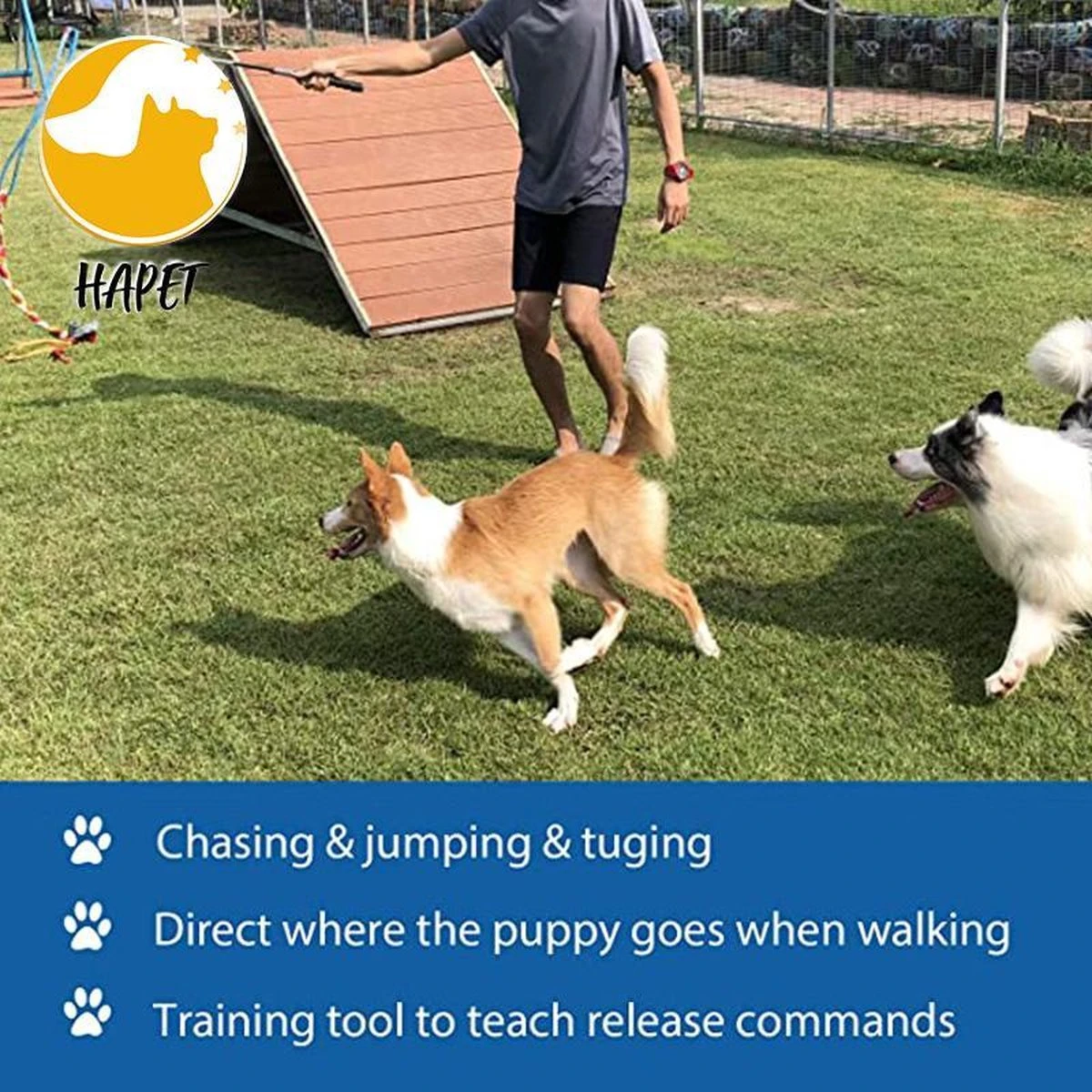 CF Pack - Hond Buitenspeelgoed Actief Behendigheid Touw Dog Flirt Pole Flirtpole Toy Tug Tease Wand Non-Bungee Cord Dog Toy For Fun Obedience Training Extandable Toy Honden Speelgoed Hondenspeelgoed Behendigheidspeelgoed 7 CF Pack - Hond Buitenspeelgoed Actief Behendigheid Touw Dog Flirt Pole Flirtpole Toy Tug Tease Wand Non-Bungee Cord Dog Toy For Fun Obedience Training Extandable Toy Honden Speelgoed Hondenspeelgoed Behendigheidspeelgoed - Afbeelding 5