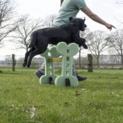 Dog Agility Set Indoor En Outdoor - Honden Trainingsset - 9 Dog Agility Set Indoor En Outdoor - Honden Trainingsset - -Hondenserie Winkel 1200x1200 731
