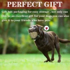 Nobleza Honden Speelgoed Set PLJ - 10 Stuks -Hondenserie Winkel 1200x1200 743