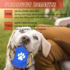 Nobleza Honden Speelgoed Set PLJ - 10 Stuks -Hondenserie Winkel 1200x1200 745