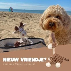 Dutchwide Honden - Knuffel - Met Piep - Extra Sterk - Speelgoed - Pluche - Hondenknuffel - Intelligentie -Hondenserie Winkel 1200x1200 765
