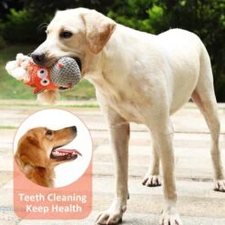 Merkloos Hondenknuffel - Interactief Piepspeelgoed Voor Honden - Teddy - Stoer Hondenkauwspeelgoed - Met Katoenen Materiaal En Gekreukt Papier - Hondenspeelgoed Voor Grote En Kleine Honden 18 Merkloos Hondenknuffel - Interactief Piepspeelgoed Voor Honden - Teddy - Stoer Hondenkauwspeelgoed - Met Katoenen Materiaal En Gekreukt Papier - Hondenspeelgoed Voor Grote En Kleine Honden -Hondenserie Winkel 1200x1200 771