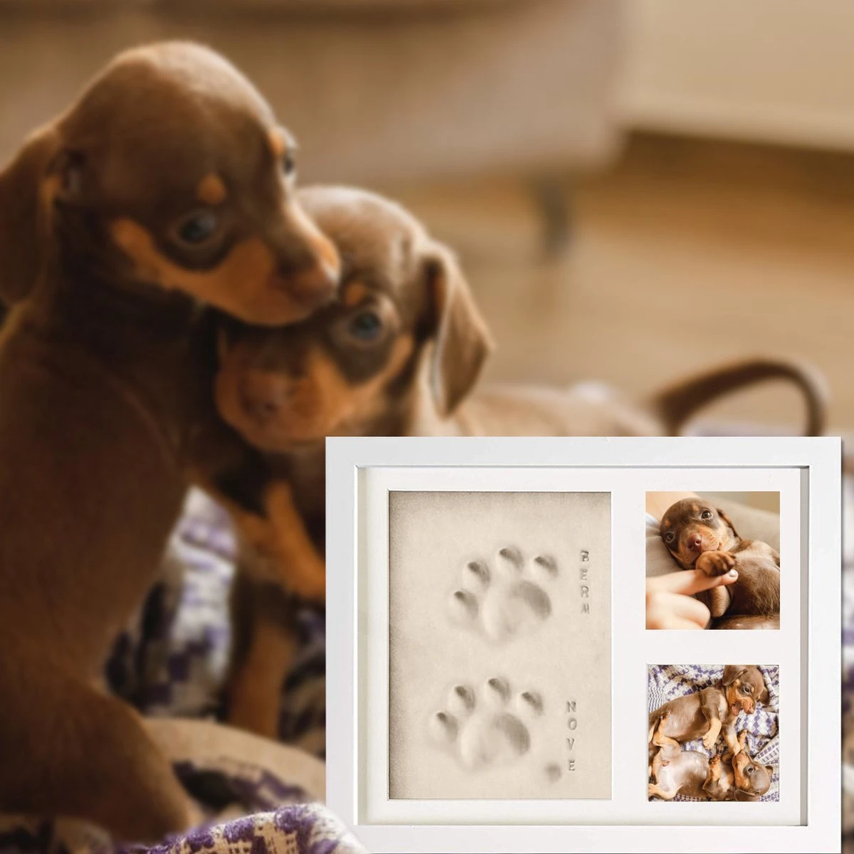 PIXETOOL Fotolijst Kleiafdruk - Gipsafdruk - Pootafdruk Hond - Puppy Speelgoed - Cadeau Voor Man - Cadeau Voor Vrouw - 3D Collage - 54 Extra Letters 4 PIXETOOL Fotolijst Kleiafdruk - Gipsafdruk - Pootafdruk Hond - Puppy Speelgoed - Cadeau Voor Man - Cadeau Voor Vrouw - 3D Collage - 54 Extra Letters - Afbeelding 2