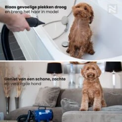 Nuvoo Professionele Hondenföhn / Waterblazer / Hondenborstel Met 3 Opzetstukken - Verstelbare Vermogen Tot 2200W - Warme / Koude Stand - Rood -Hondenserie Winkel 1200x1200 795