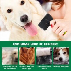 Mister Mill Professionele Set Honden Kattenborstel - Ondervachtkam Plus Slickerborstel 28 Mister Mill Professionele Set Honden Kattenborstel - Ondervachtkam Plus Slickerborstel -Hondenserie Winkel 1200x1200 804