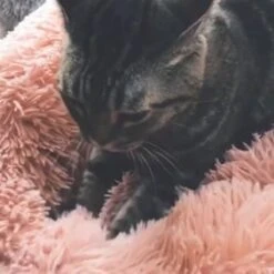 Snoozle Donut Hondenmand - Zacht En Luxe Hondenkussen - Wasbaar - Fluffy - Hondenmanden - 50cm - Grijs -Hondenserie Winkel 1200x1200 82