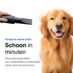 Vivid Green Waterblazer Met 3 Opzetstukken - Hondenfohn - Voor Honden - Met Geluiddemper - 2800W -Hondenserie Winkel 1200x1200 820