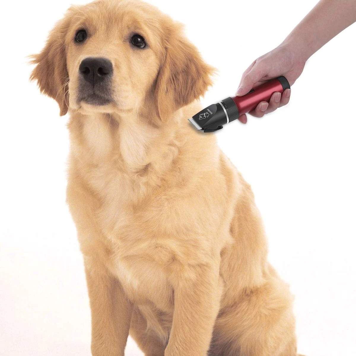Merkloos Hondentondeuse, Hundeschermaschine / Dog Clippers - Dierenhaartrimmer, Hondentondeuse Kit Hond Verzorging 6 Merkloos Hondentondeuse, Hundeschermaschine / Dog Clippers - Dierenhaartrimmer, Hondentondeuse Kit Hond Verzorging - Afbeelding 4