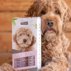Greenfields Labradoodle Vacht Verzorgingsset - Shampoo En Anti-Klit Spray Voor Langharige Of Krullende Vacht 16 Greenfields Labradoodle Vacht Verzorgingsset - Shampoo En Anti-Klit Spray Voor Langharige Of Krullende Vacht -Hondenserie Winkel 1200x1200 858