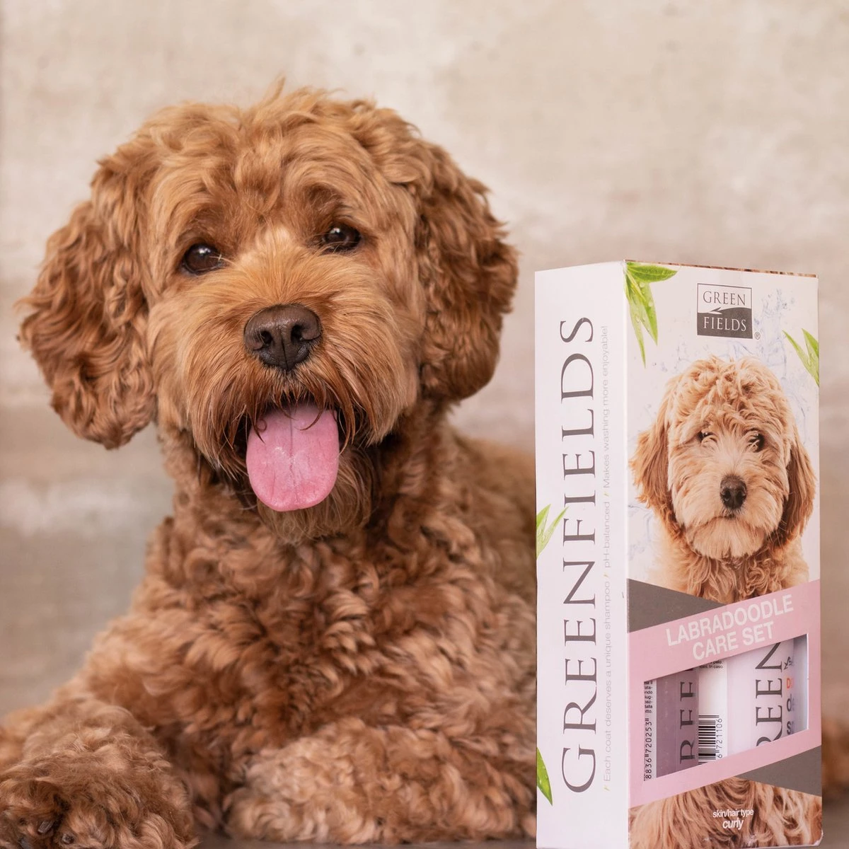 Greenfields Labradoodle Vacht Verzorgingsset - Shampoo En Anti-Klit Spray Voor Langharige Of Krullende Vacht 6 Greenfields Labradoodle Vacht Verzorgingsset - Shampoo En Anti-Klit Spray Voor Langharige Of Krullende Vacht - Afbeelding 4