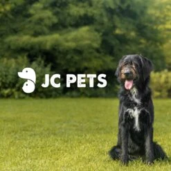 JC Pets Premium Pluizenborstel - Huisdierhaar Verwijderaar – Pluizenverwijderaar – Honden En Kattenhaar Verwijderaar - Ontpluizer - Pluizenroller 16 JC Pets Premium Pluizenborstel - Huisdierhaar Verwijderaar – Pluizenverwijderaar – Honden En Kattenhaar Verwijderaar - Ontpluizer - Pluizenroller -Hondenserie Winkel 1200x1200 863