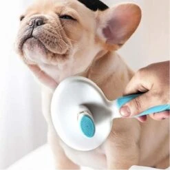 Merkloos Dierenborstel - Haarborstel Huisdieren - Borstel Voor Vacht Huisdier - Borstel Kat - Borstel Hond - Makkelijk Haar Verwijderen Met één Klik - Inclusief Speeltje - Kam Huisdier - Vachtverzorging - Massage 27 Merkloos Dierenborstel - Haarborstel Huisdieren - Borstel Voor Vacht Huisdier - Borstel Kat - Borstel Hond - Makkelijk Haar Verwijderen Met één Klik - Inclusief Speeltje - Kam Huisdier - Vachtverzorging - Massage -Hondenserie Winkel 1200x1200 884