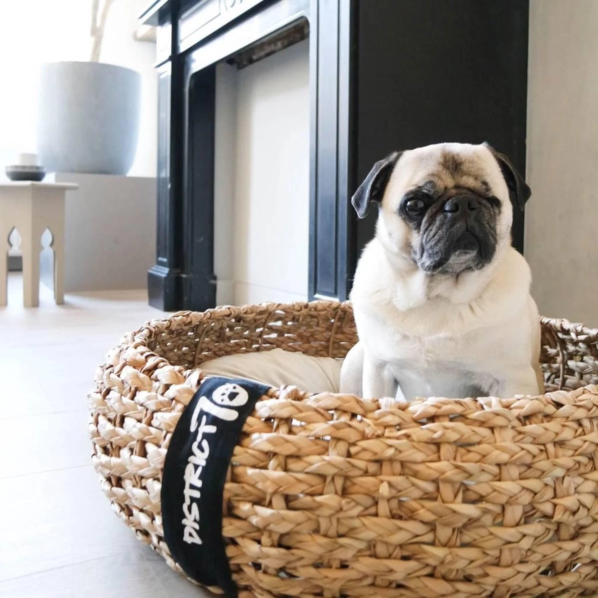 District 70 COCOON - Luxe Hondenmand Van Duurzaam Hoogwaardig Riet Met Zacht Kussen - Maten S/M/L - Large 4 District 70 COCOON - Luxe Hondenmand Van Duurzaam Hoogwaardig Riet Met Zacht Kussen - Maten S/M/L - Large - Afbeelding 2