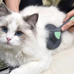 Pakeway Kattenborstel – Hondenborstel – Haarverwijderaar Voor Huisdieren – Kattenkam - Kortharig - Langharig - Inclusief Ebook! -Hondenserie Winkel 1200x1200 910