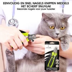 Mister Mill Professionele Set Slicker Honden Kattenborstel Plus Nagelknipper Plus Ondervacht Kam 37 Mister Mill Professionele Set Slicker Honden Kattenborstel Plus Nagelknipper Plus Ondervacht Kam -Hondenserie Winkel 1200x1200 926