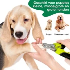 Mister Mill Professionele Set Slicker Honden Kattenborstel Plus Nagelknipper Plus Ondervacht Kam 38 Mister Mill Professionele Set Slicker Honden Kattenborstel Plus Nagelknipper Plus Ondervacht Kam -Hondenserie Winkel 1200x1200 927