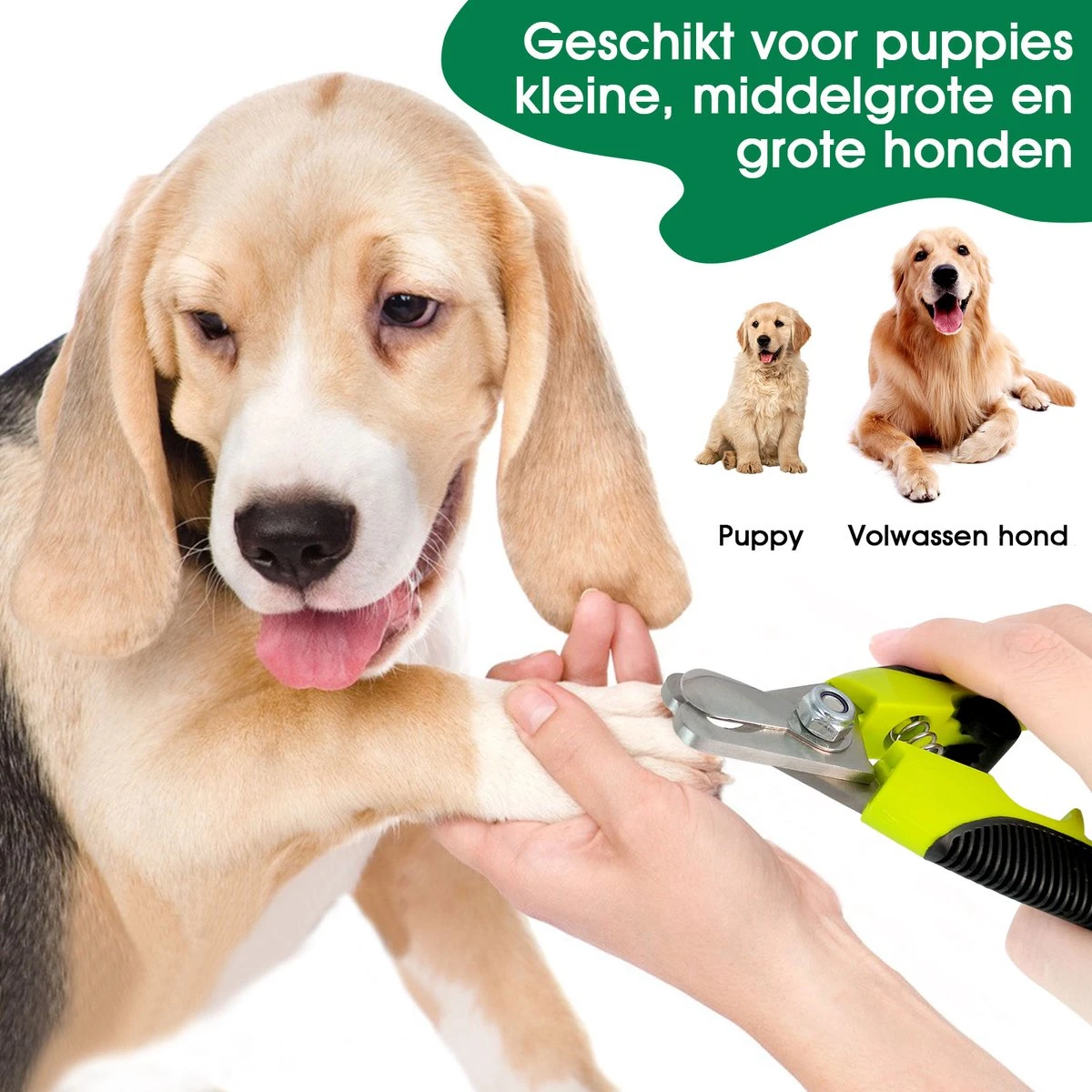 Mister Mill Professionele Set Slicker Honden Kattenborstel Plus Nagelknipper Plus Ondervacht Kam 20 Mister Mill Professionele Set Slicker Honden Kattenborstel Plus Nagelknipper Plus Ondervacht Kam - Afbeelding 18